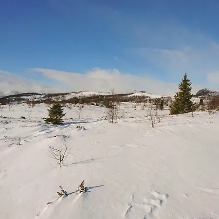 Lundsmarka Vang I Valdres
