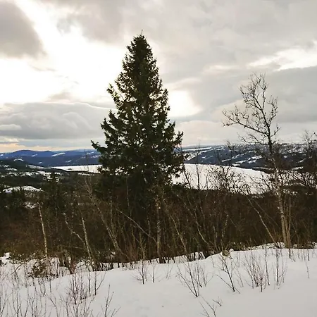 Lundsmarka Vang I Valdres